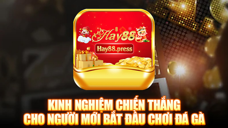 Kinh nghiệm chiến thắng cho người mới bắt đầu tại Đá Gà 88